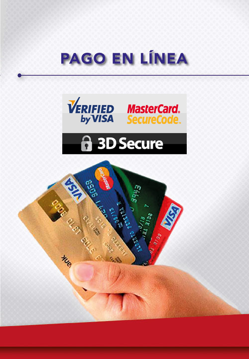 Pago en Linea